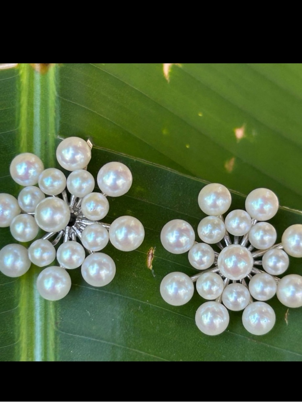 Vintage sterling silver cluster 3 & 5 mm akoya pearls flower screw back earrings